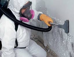 Best Emergency Mold Remediation  in USA